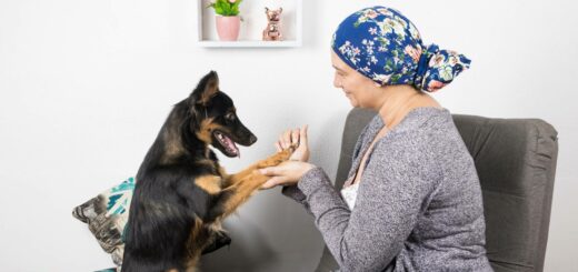 Comment-garder-sa-maison-propre-quand-on-a-un-chien