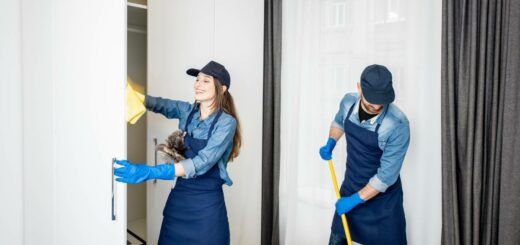 assistant(e) ménagèr(e) Ménage parfait services