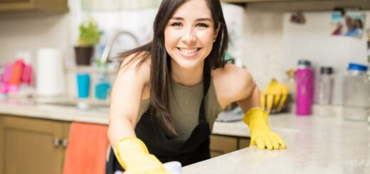 Trouver un Employé de Maison