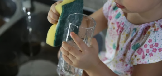 femme de ménagère et aide ménagère au tarif préférentiel