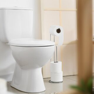 nettoyage de la cuvette WC - toilettes