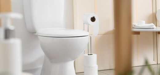 nettoyage de la cuvette WC - toilettes