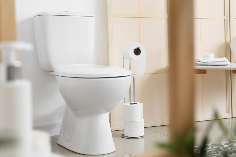 nettoyage de la cuvette WC - toilettes