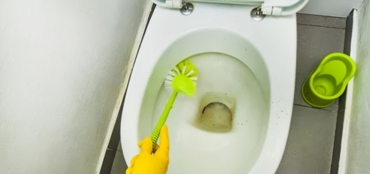 Enlever les taches de rouille des toilettes en 5 minutes ainsi le calcaire nettoyage cuvette WC