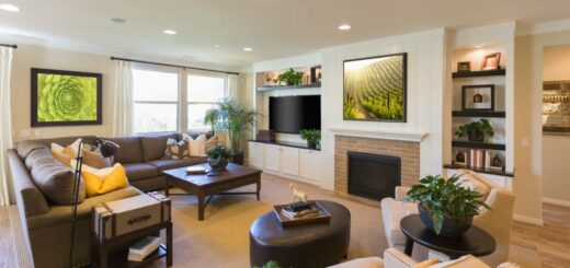 english speaking home-cleaning services paris. Ménage Parfait