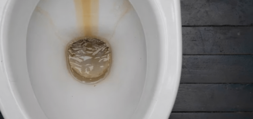 Voici comment enlever les taches de rouille des toilettes en 5 min